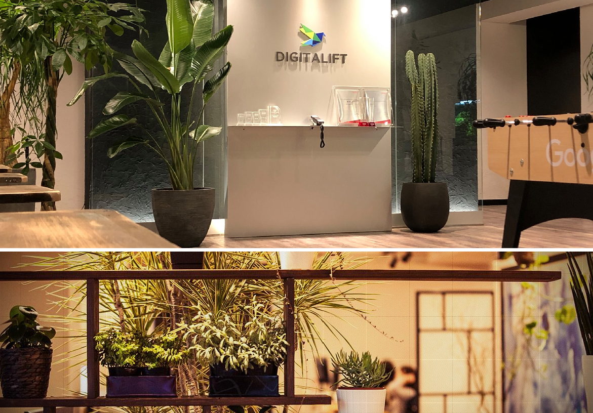 Modern workspace interior of Digitalift in Tokyo, highlighting lush greenery and the company logo on the wall, creating an inviting corporate atmosphere.