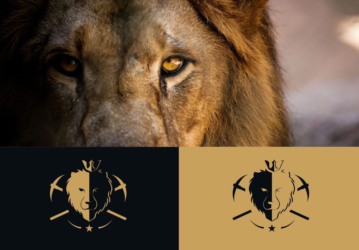 Brand identity showcase for Fenelon Gold Corp comparing the real lion inspiration with the gold and black vector logo variations.