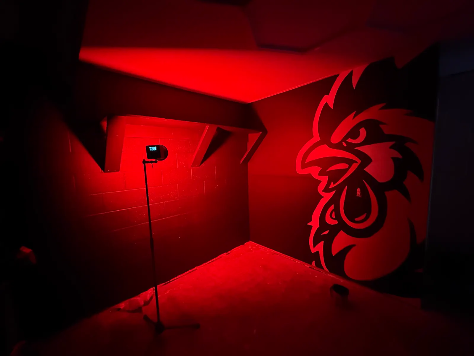 Wake Up Sports studio with red lighting, hex ceiling lights, and the rooster mural wall