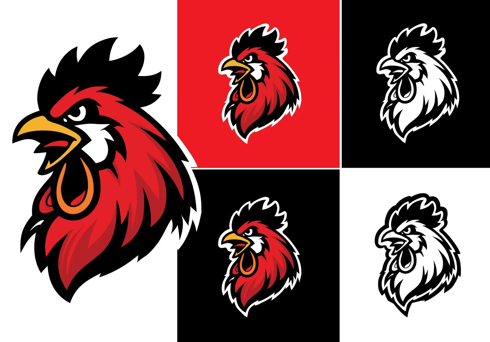 Rooster mascot in five colour variations on different backgrounds
